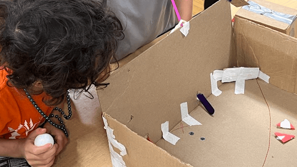 Picture for Cardboard Creations (Gr: 1-2)