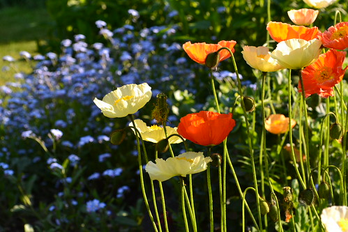 Picture for Get Outside! (Gr: 1-2)