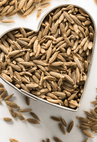 Picture for State Fair Blue Ribbon Arts & Crafts (Gr: 1-2)