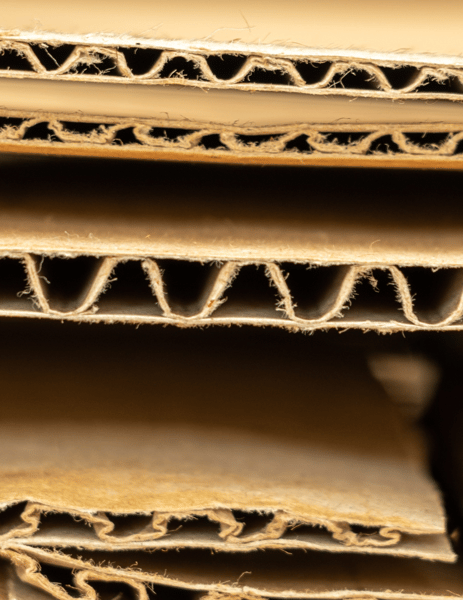 Picture for Cardboard: Greek Mythology (Gr: 3-5)