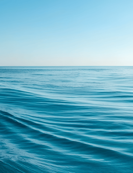 Picture for Cardboard: Mermaids & Sea Creatures (Gr: 1-2)