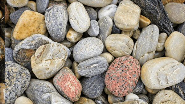 Picture for Junior Archaeologists (Gr: K)