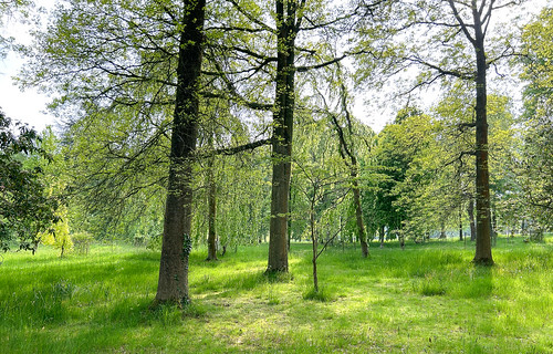 Picture for Smartphone Photography 1  (Roosevelt)