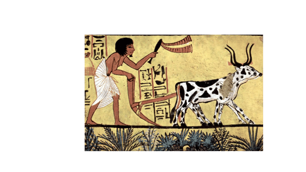 Picture for: 2,500 BCE in the Nile Delta of Egypt  (Roosevelt 55+)