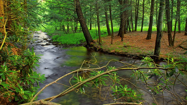 Picture for Nature Explorers (Gr: 3-5)