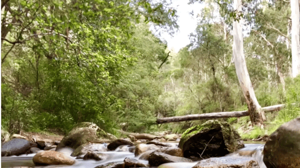 Picture for The Great Outdoors (Gr: 1-2)