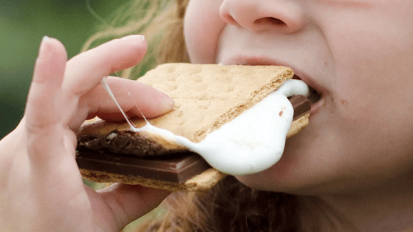 Picture for My Little Campsite (Gr: K-2) (Sanford)