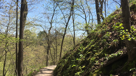 Picture for Nature Sketching at Interstate State Park w/ Sierra Club (Southwest)