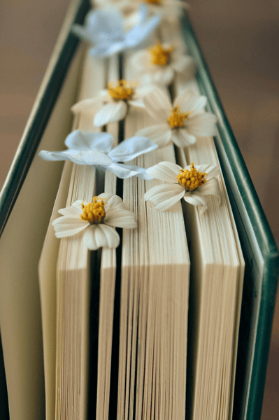 Picture for Launch into Summer Reading with Collage Bookmarks (Camden)