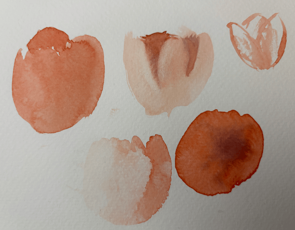 Course Painting: Watercolor Spring Blooms (Edison) ONLINE image 4