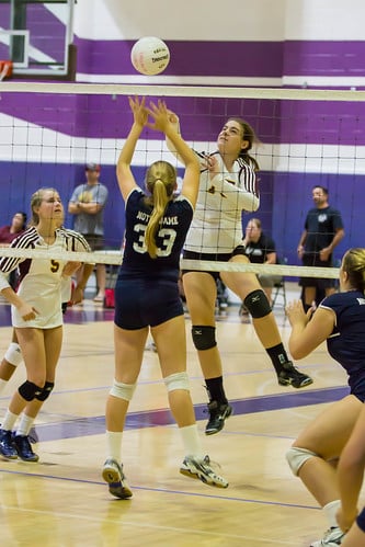 Picture for Volleyball: Competitive (Ella Baker)