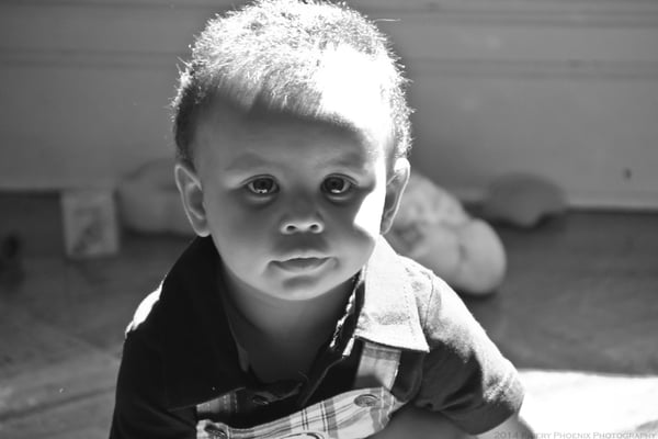 Picture for: Circle of Security (18-24 months) Gradual Separation