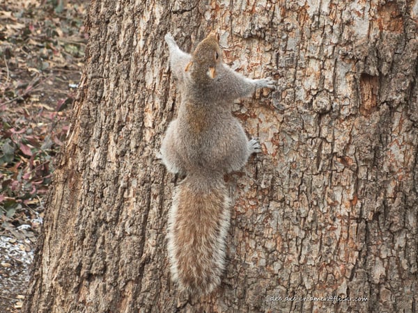 Picture for Outdoor Adventures (May only) Gr. 1-5 Tu/Th