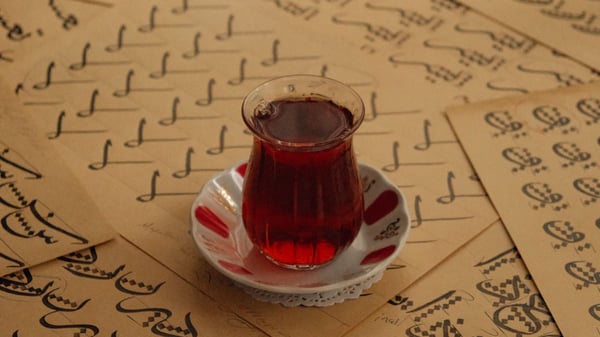 Picture for: Turkish 1 (Ella Baker)