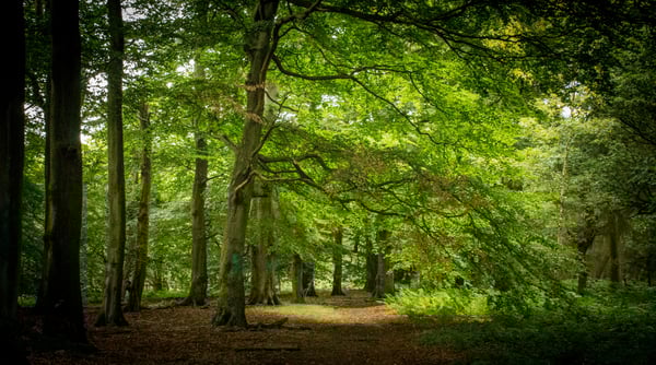 Picture for Nature Explorers (Gr: 1-2)