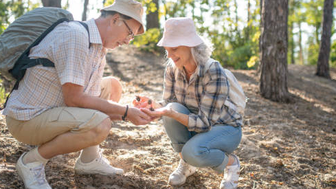 Picture for: Family Forest Bathing (Marcy)