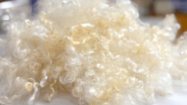 Picture for: Weaving: Yarn Travels: World Wide Wool at Weavers Guild of Minnesota
