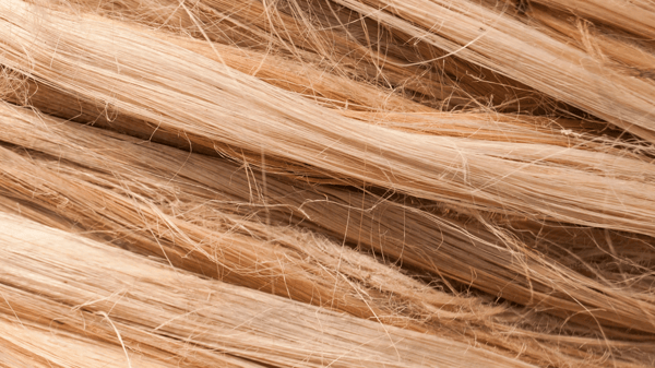 Picture for: Weaving: Wild Yarns: Linen, Nettle, & Hemp at Weavers Guild of Minnesota
