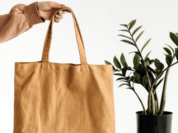 Picture for: ACCESS - Painted Zipper Tote (South)