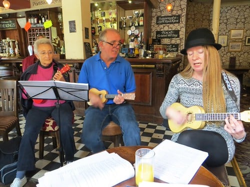 Picture for Uke & More Thursday Jam (Seward)