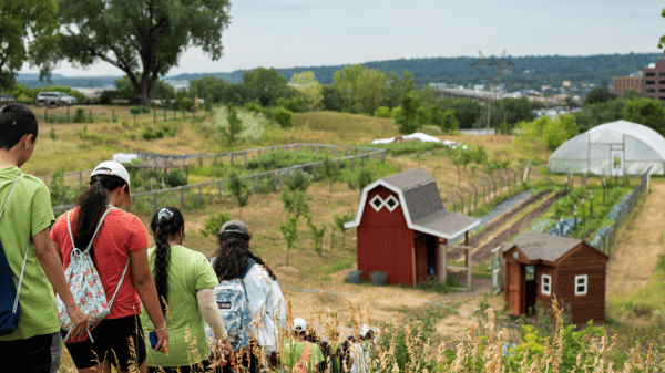 Course Urban Agriculture Tour- CANDO - Bowls & Greens Event image 3