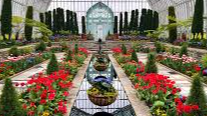 Picture for: Como Park Conservatory - Guided Tour (Marcy 55+)