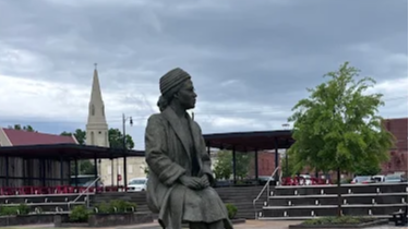 Course Bus Tour: Civil Rights Tour w/ Civil Rights Attorney & Author Dr. Artika Tyner & Historian Dave Bredemus image 4
