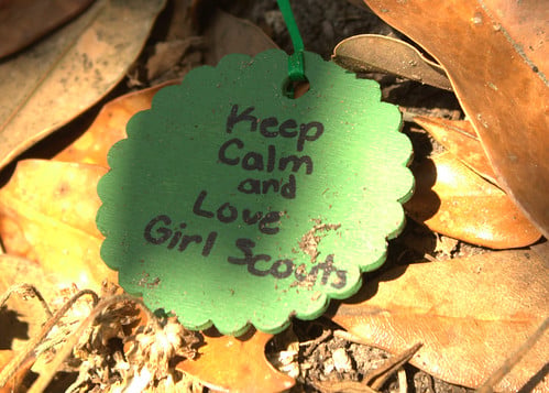 Girl Scouts Leadership Academy / Girl Scouts Academia de Liderazgo (Emerson) Gr. 3-5