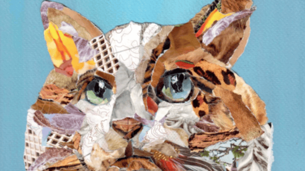 Course Pet Portrait Collage (Justice Page) image 1