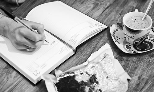 Picture for Writing From Life (Camden)  ONLINE