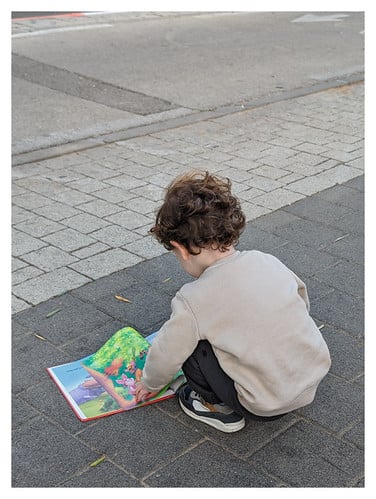 Picture for Reading Adventures (1st-3rd)