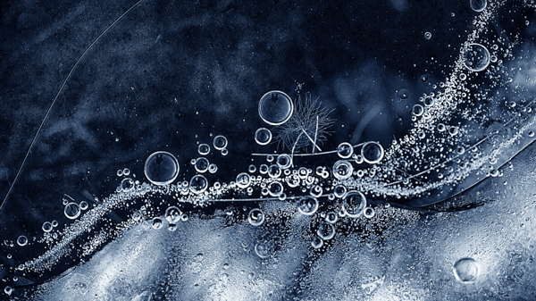Picture for: Drop-In Nature: Water on the Move (Kroening)