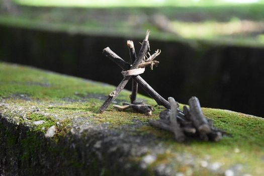 Picture for: Nature Art (LHL) (K-1 Gr.)