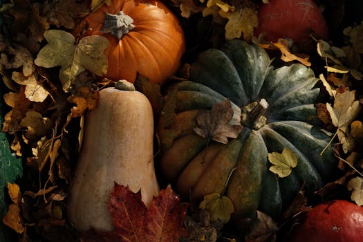 Picture for Everly Farms Fall Harvest Pasta Dinner