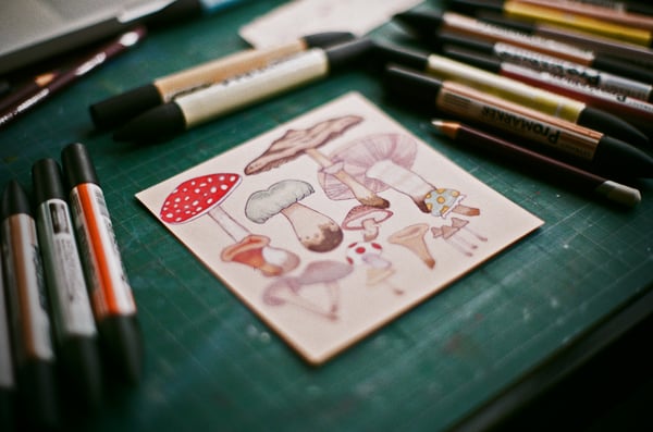 Picture for Mixed Media Arts (Entering Gr. 6-9)