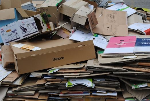 Picture for: Cardboard Creations (LHU) (3-5 Gr.)