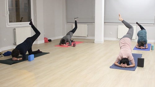 Picture for Yoga: Vinyasa (Edison)