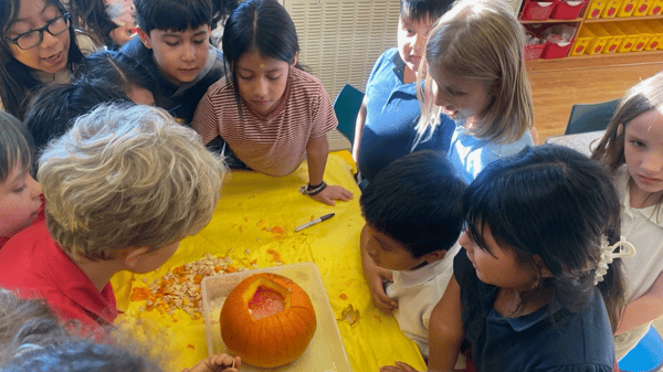 Course Gr. K - 5 Mini-May Session: (Tuesdays and Thursdays 2:10pm - 5:10pm) image 1