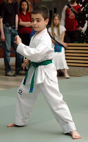 Picture for Karate: Kids (Ages 6-11) (Ella Baker)