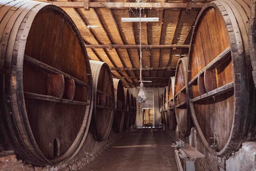 A vintage winery with large wooden barrels in San Juan, Argentina, captured with a warm vintage style.