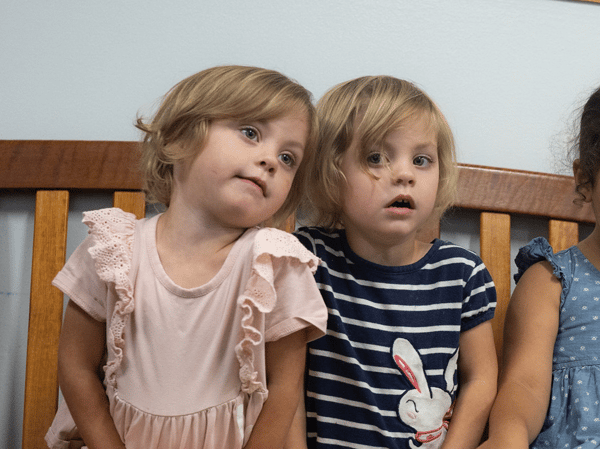 Image for ECFE Multiples: Families with Twins, Triplets