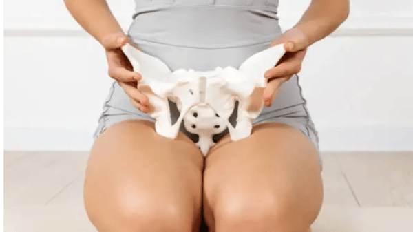 Picture for: Pelvic Floor Structure & Function: What Every Woman Should Know