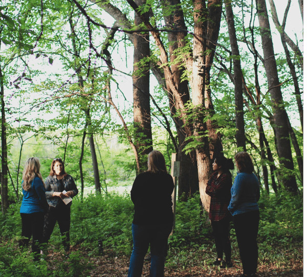 Picture for: Guided Forest Bathing
