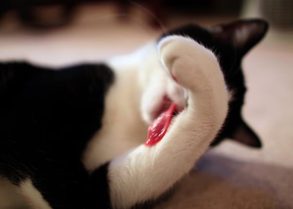 Picture for: Youth Enrichment