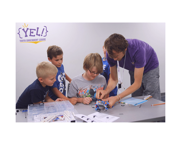 Course Robotics: Muscle Bots image 1