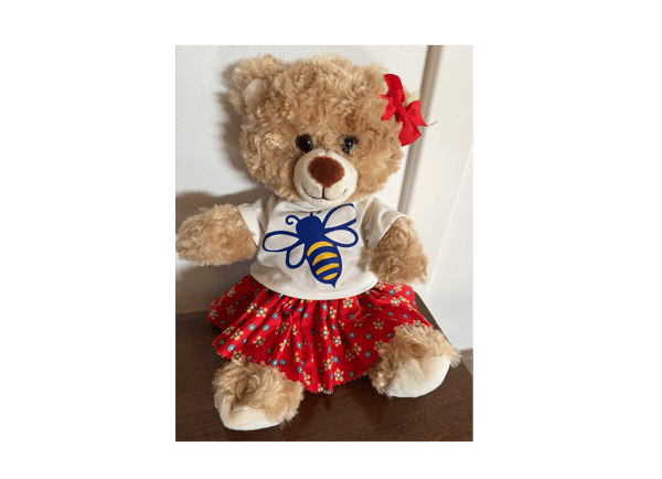 Course Make-A-Bear Class image 2