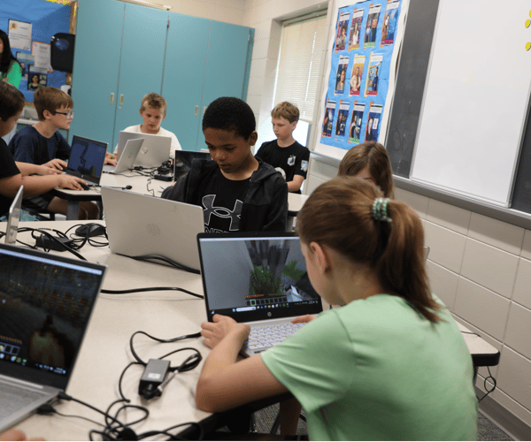 Picture for Cybersecurity and Python Coding