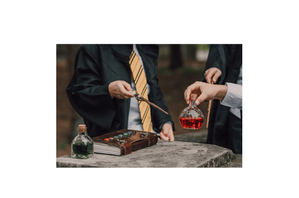 Picture for: Hogwarts Wizard Workshop