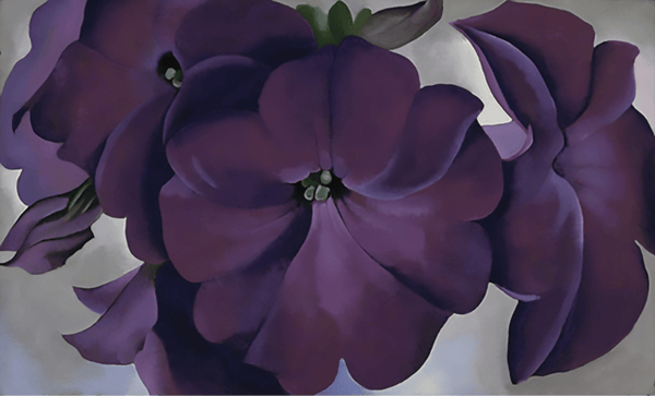 Picture for: Georgia O'Keeffe Acrylic Painting - Petunias