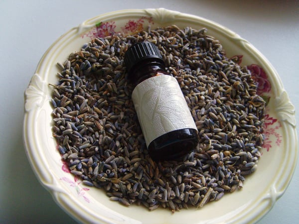 Picture for ‭Witches' Brews: Essential Oil Potions for Halloween